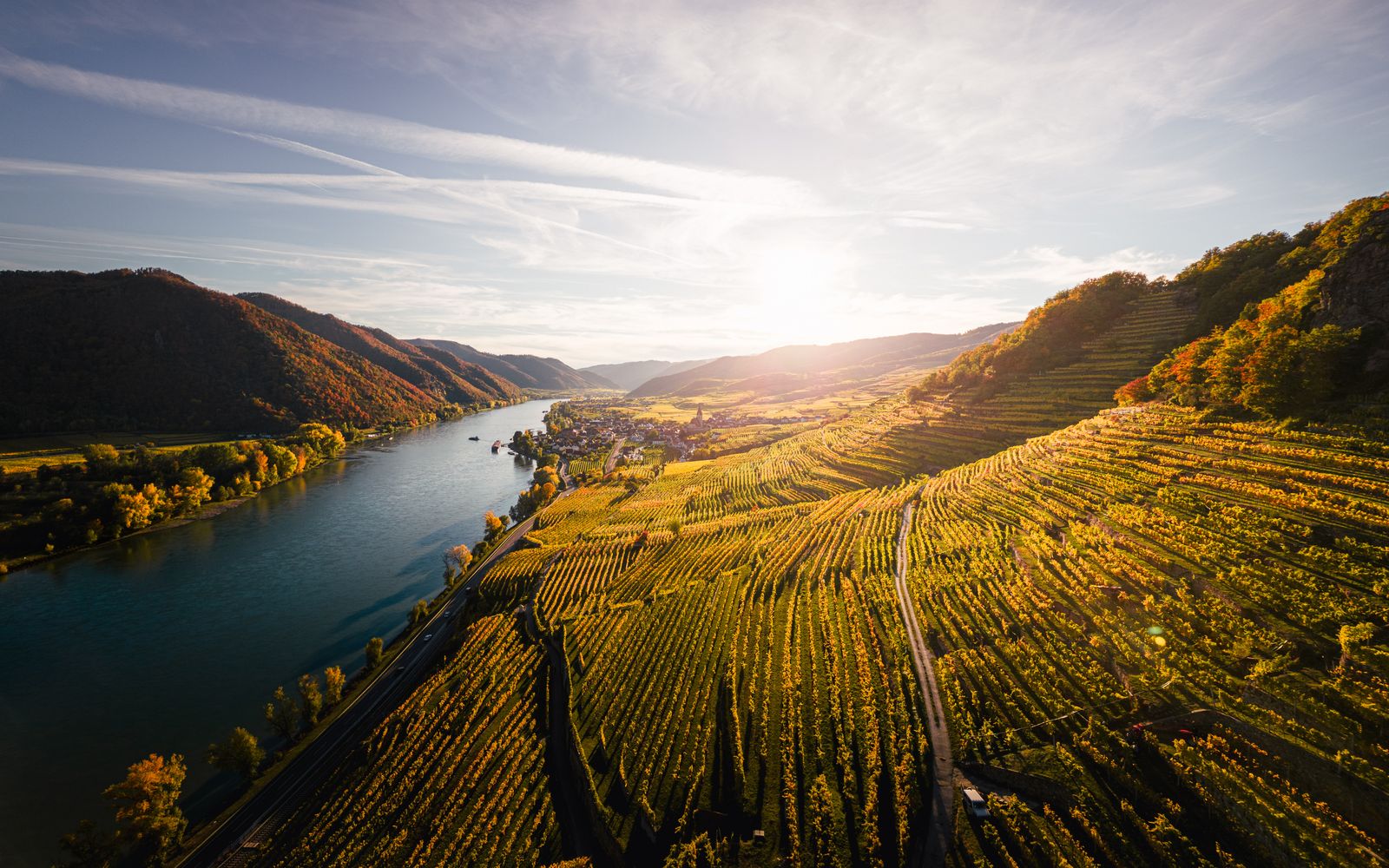 Weinterrassen in der Wachau bei Sonnenuntergang