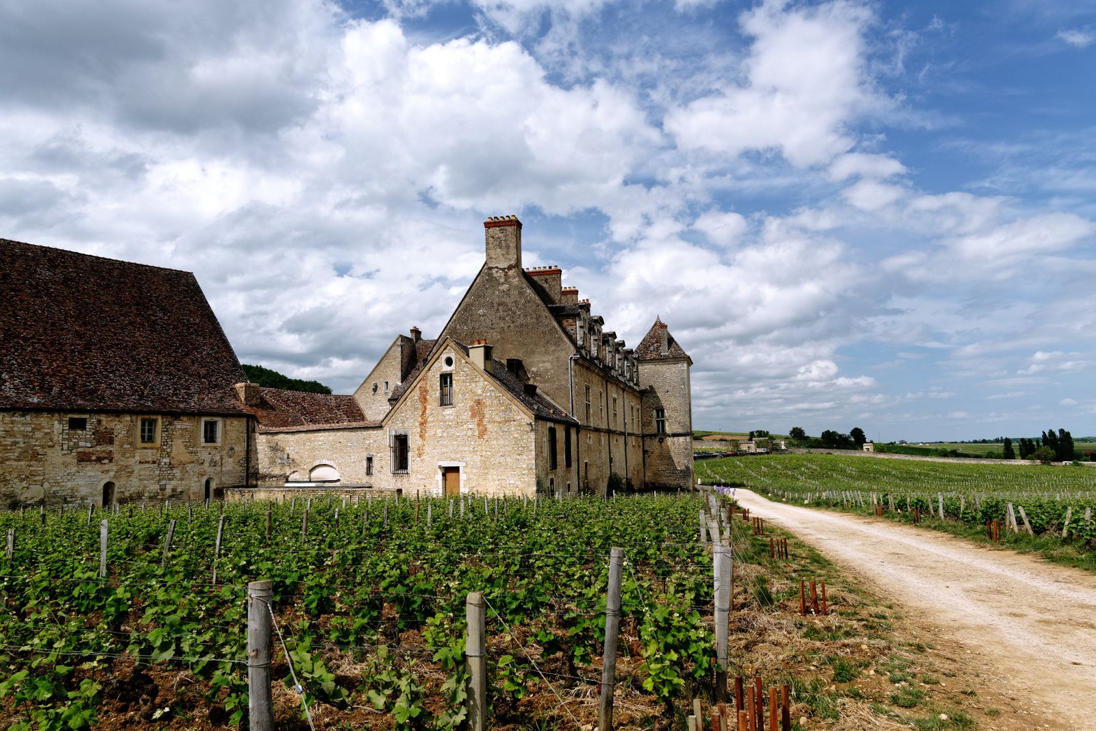 Château de Vougeot inmitten von Reben im Burgund